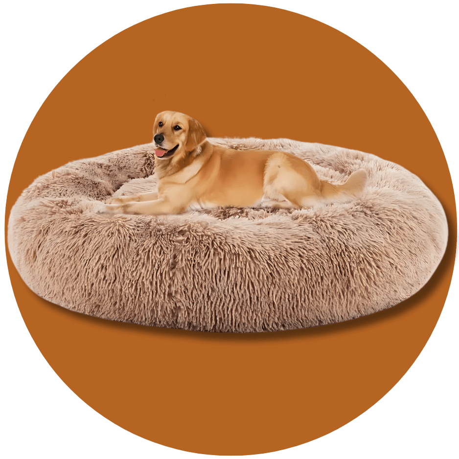 PET BEDS & BEDDING